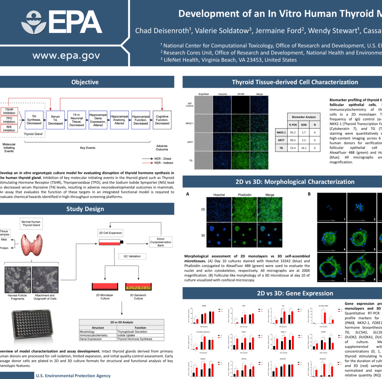 Presented at Society of Toxicology 58th Annual Meeting and ToxExpo