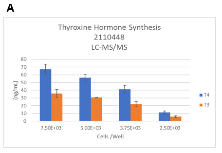 Figure 3. Identifying the lower limits of thyroxine hormones by LC-MS/MS. The thyrocytes were seeded at six different seeding densities (from 1.5E+04 to 2.5E+03 cells per well).&nbsp;A.&nbsp;TSH-induced T4 synthesis on day 14 from thyrocytes in 3D cultures was determined by LC-MS/MS. B.The dynamic range of T4 synthesis. C.&nbsp;Thyroxine hormone production levels normalized to 1M cells.  D. Representative 3D thyroid microtissues on day 14 (Lot 2110448). Magnification:40X. 