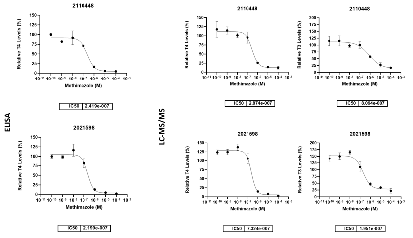 Inhibition of T4 synthesis by a TPO inhibitor, methimazole. Matured thyroid microtissues from three healthy donor tissues were exposed to methimazole (100pM to 100µM) from Day 9 to Day 14. 