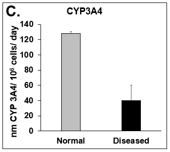 Functionality of Normal and Diseased PHHs. (A) Albumin and (B) Urea levels of Normal (grey bar) and Diseased (black bar) PHHs in the hTCS on day 14. (C) CYP3A4 activity of Normal (grey bar) and Diseased (black bar) PHHs on day 14. Error bars represent standard deviation (n ≥ 3 wells).