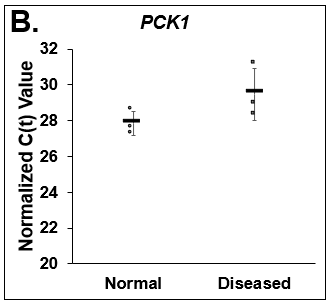 Differences in lipogenesis and gluconeogenesis. C(t) values of (A) Fatty Acid Synthase (FASN), (B) Phosphoenolpyruvate Carboxykinase (PCK1), and (C) Glucose-6-phosphatase (G6PC) on day 14 from Normal (circles) and Diseased (squares) PHHs in the hTCS. Errors bars represent standard deviation (n ≥ 3 wells).