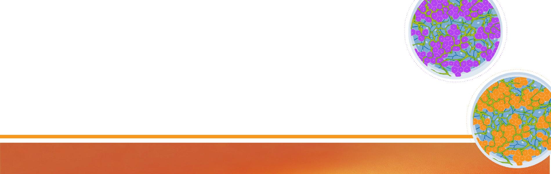 Truvivo Flex graphic