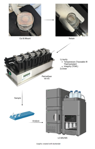 Figure 2. An OECD 428 Compliant Experimental Approach to In Vitro Permeation Testing