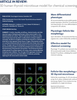 Brochure - 3D Human Thyroid MicroTissue