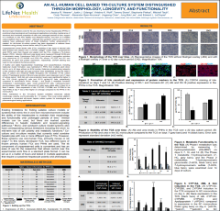 All-Human Cell Based Tri-Culture System Distinguished Through Morphology Longevity and Functionality.png