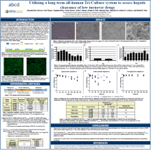 Utilizing a Long-Term All-Human Triculture System to Access Hepatic Clearance of Low Turnover Drugs