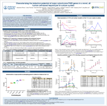 Characterizing the induction potential of major cytochrome P450 genes in a novel all-human cell-based triculture system