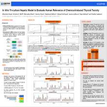 In Vitro Triculture Hepatic Model to Evaluate Human Relevance of Chemical-Induced Thyroid Toxicity