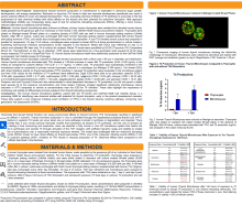 Evaluation of a Human Thyroid Microtissue Model for the Identification of Potential Thyroid Disrupting Chemicals In Vitro